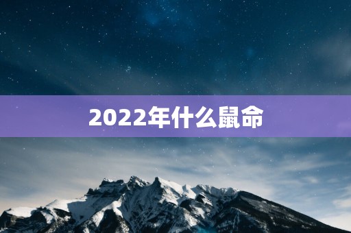 2025年什么鼠命