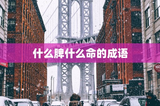 什么脾什么命的成语