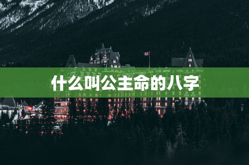 什么叫公主命的八字