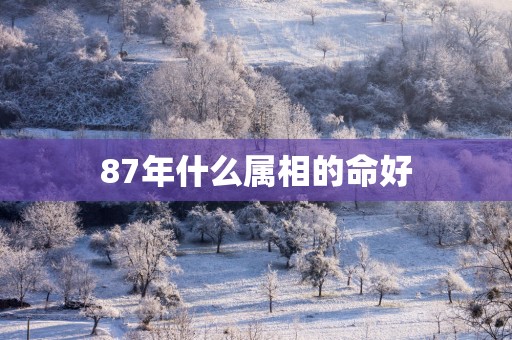 87年什么属相的命好