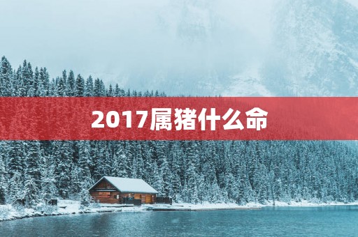 2017属猪什么命