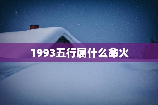 1993五行属什么命火