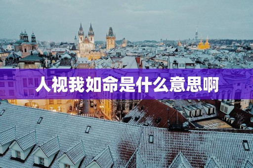 人视我如命是什么意思啊