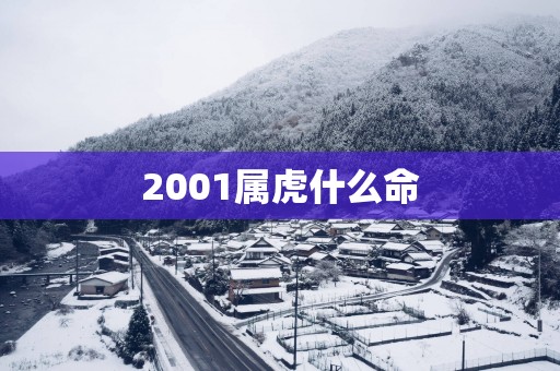 2001属虎什么命