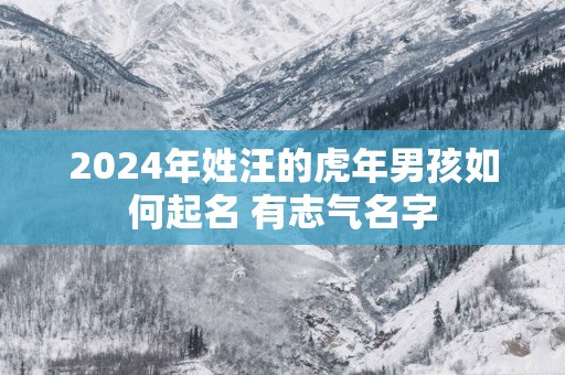2025年姓汪的蛇年男孩如何起名 有志气名字
