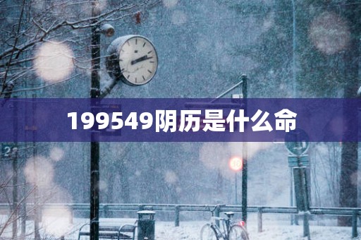 199549阴历是什么命