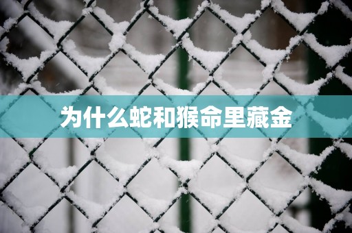 为什么蛇和猴命里藏金