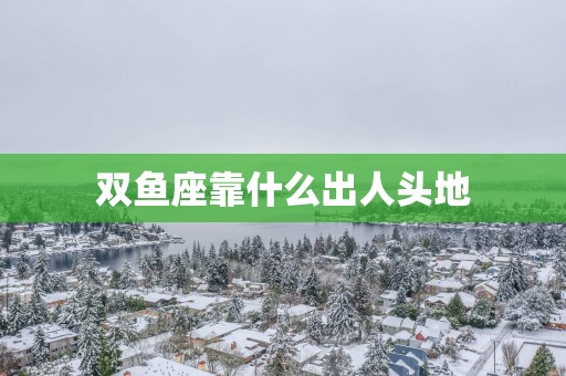 双鱼座靠什么出人头地