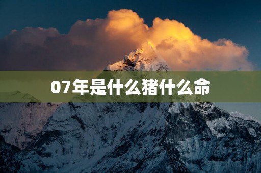 07年是什么猪什么命