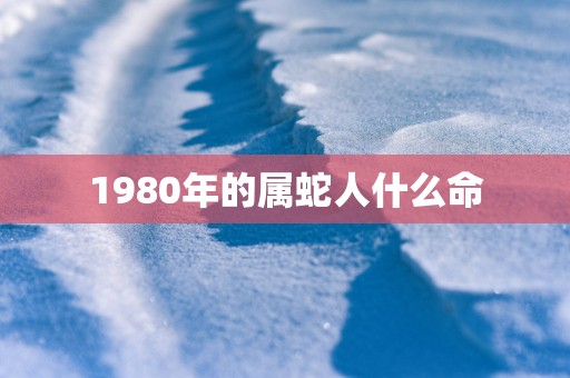 1980年的属蛇人什么命