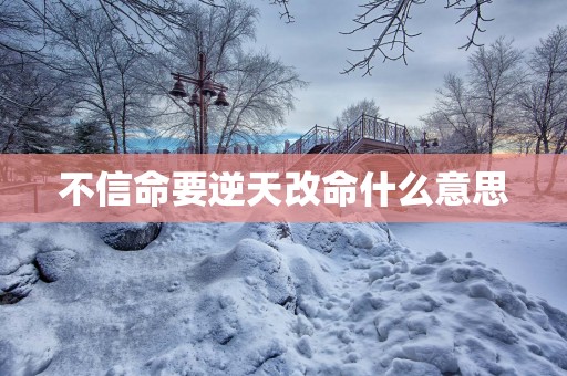 不信命要逆天改命什么意思
