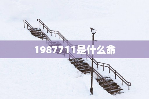 1987711是什么命