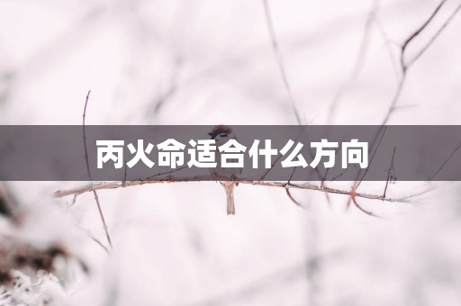 丙火命适合什么方向