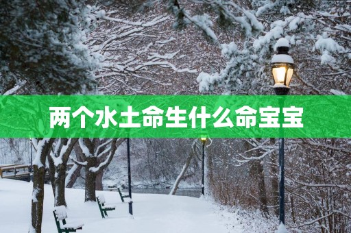 两个水土命生什么命宝宝