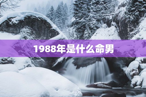 1988年是什么命男