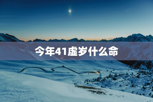 今年41虚岁什么命