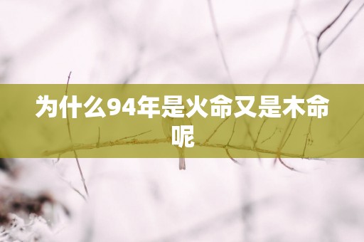 为什么94年是火命又是木命呢