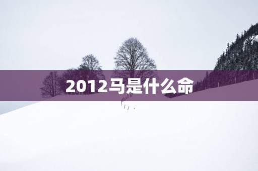 2012马是什么命