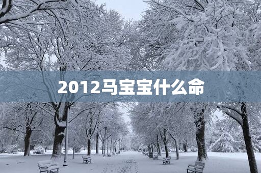 2012马宝宝什么命