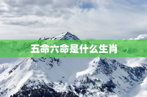 五命六命是什么生肖