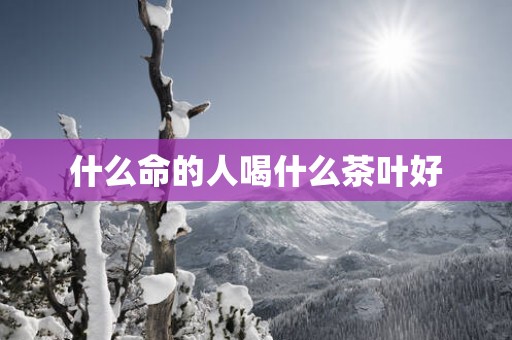 什么命的人喝什么茶叶好
