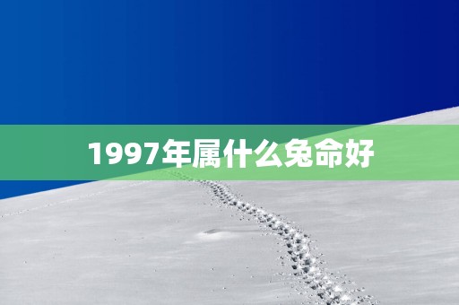 1997年属什么兔命好