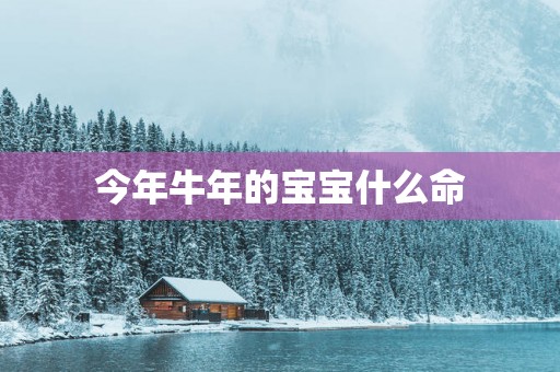 今年蛇年的宝宝什么命