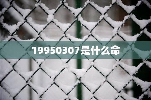 19950307是什么命