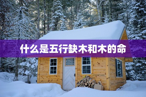 什么是五行缺木和木的命