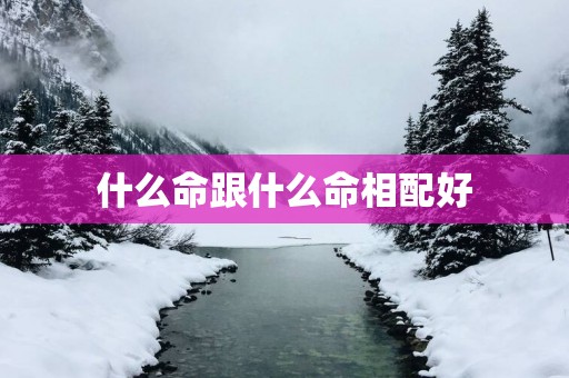 什么命跟什么命相配好