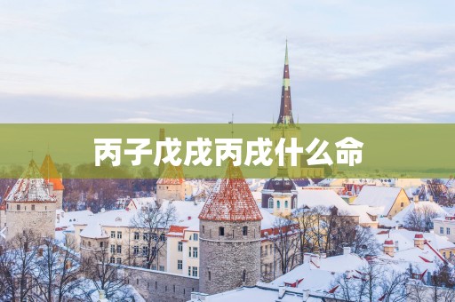 丙子戊戌丙戌什么命