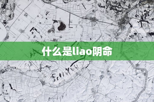 什么是liao阴命