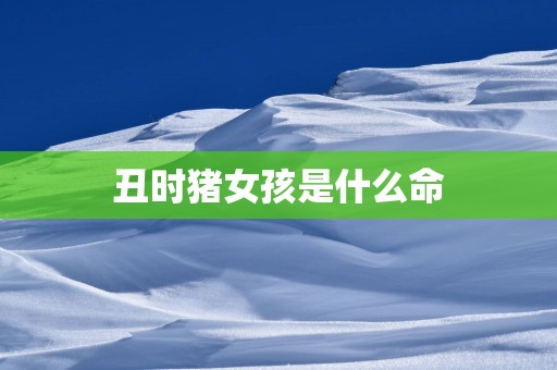丑时猪女孩是什么命