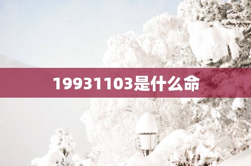 19931103是什么命
