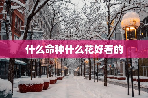 什么命种什么花好看的
