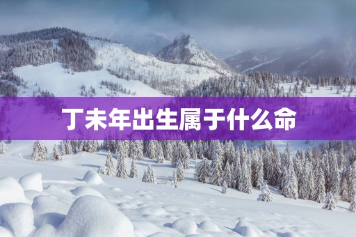 丁未年出生属于什么命