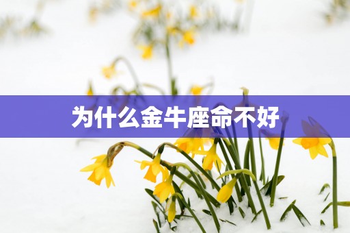 为什么金牛座命不好