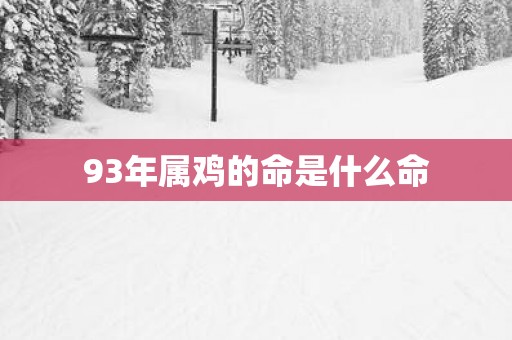 93年属鸡的命是什么命