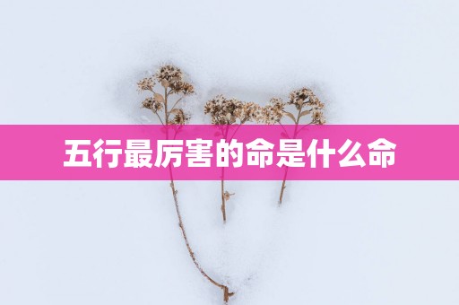 五行最厉害的命是什么命