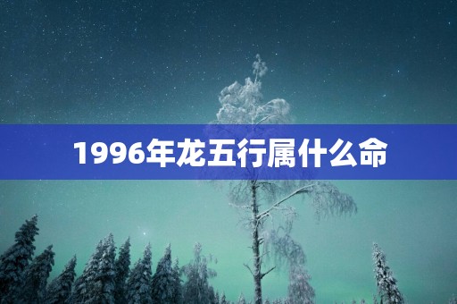 1996年龙五行属什么命