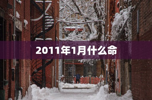 2011年1月什么命