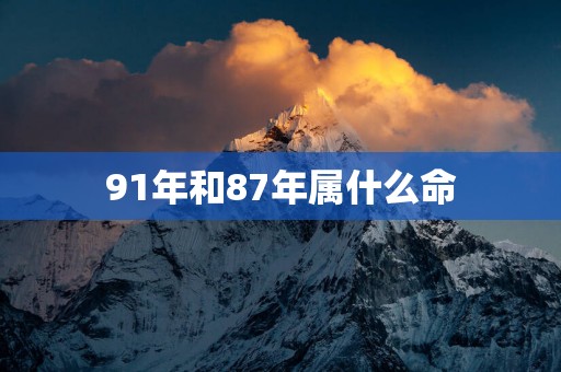 91年和87年属什么命