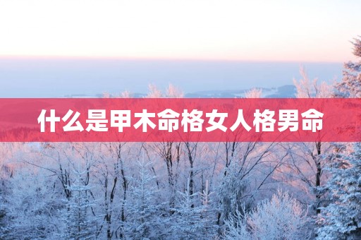 什么是甲木命格女人格男命