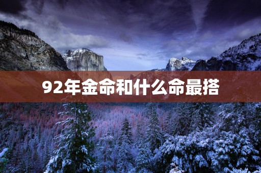 92年金命和什么命最搭