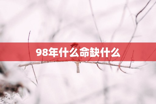 98年什么命缺什么