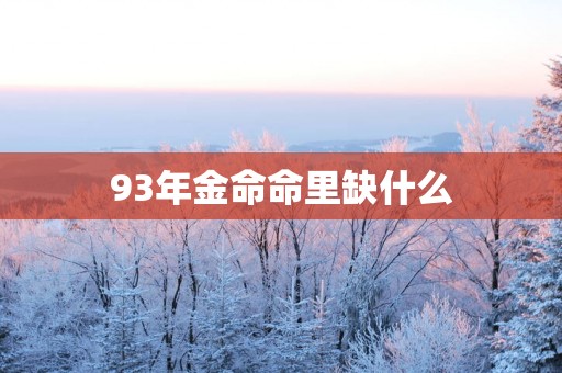 93年金命命里缺什么