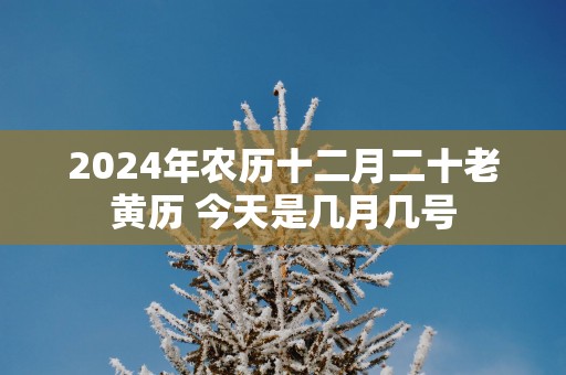 2025年农历十二月二十老黄历 今天是几月几号