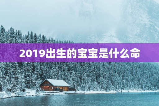 2019出生的宝宝是什么命
