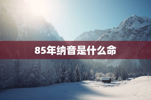 85年纳音是什么命