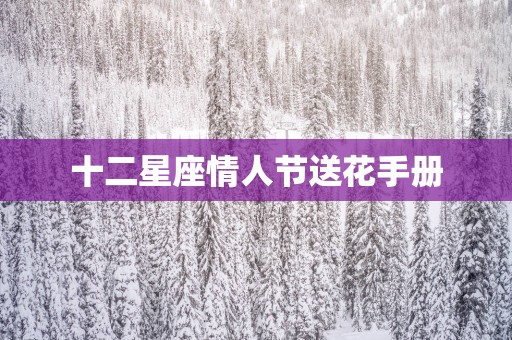 十二星座情人节送花手册